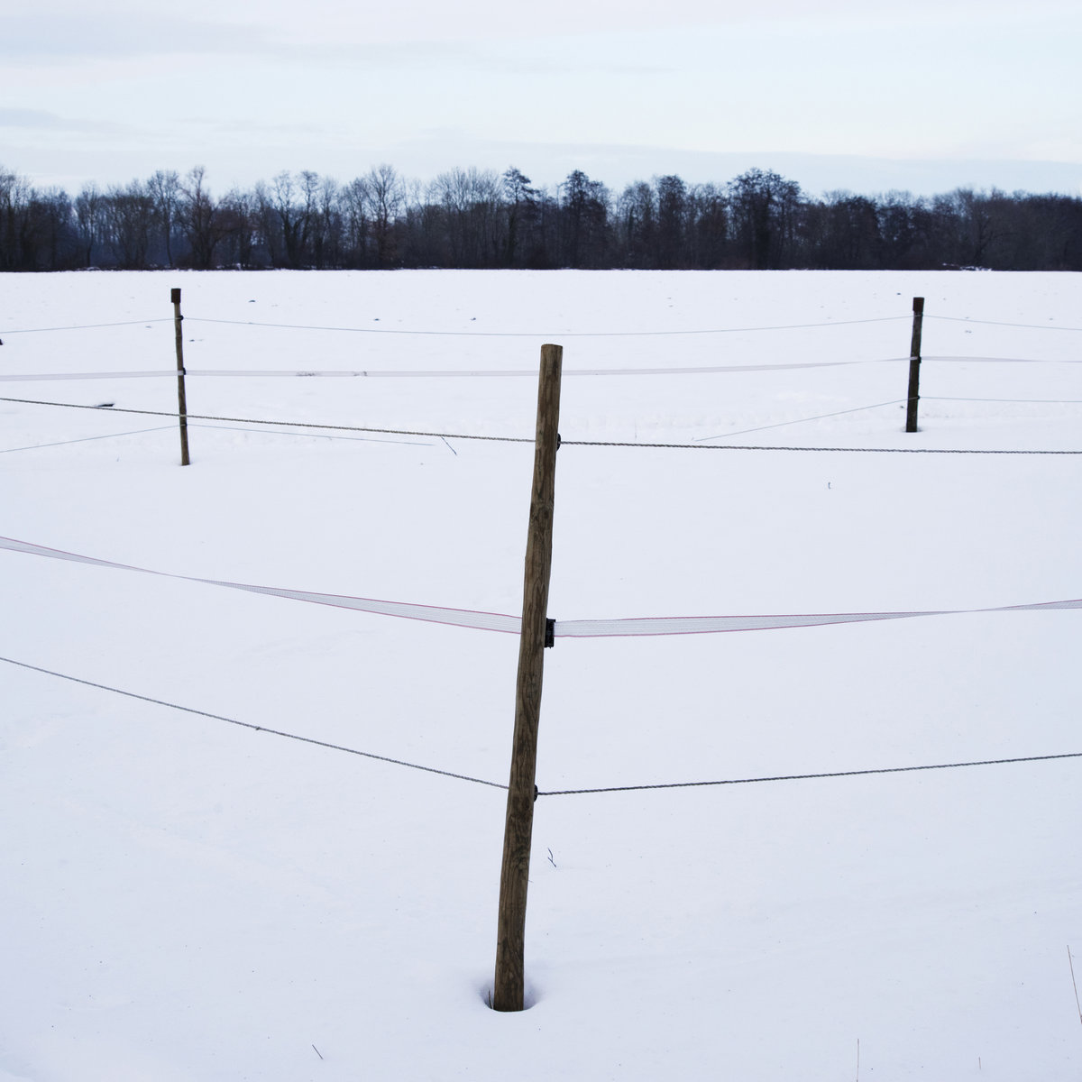 32 centimètres de neige ou presque