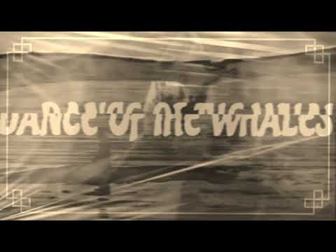 BEN AND THE TRINITY – dance of the whales