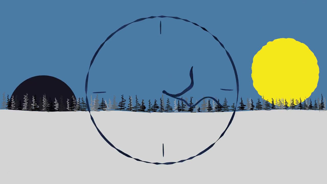 TO BE WILD (clip officiel - extrait de l'album THE SILENCE OF WINTER)
