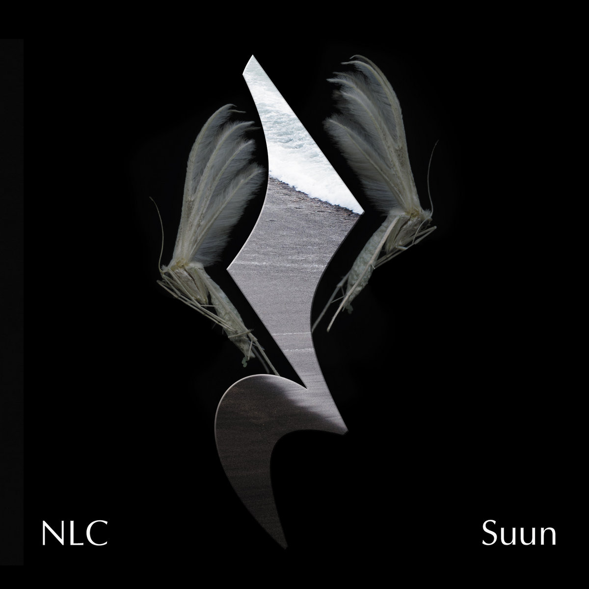 Suun