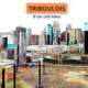 TRIBOULOIS