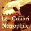 Le Colibri Necrophile