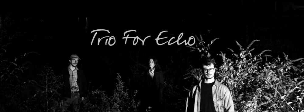 Trio For Echo