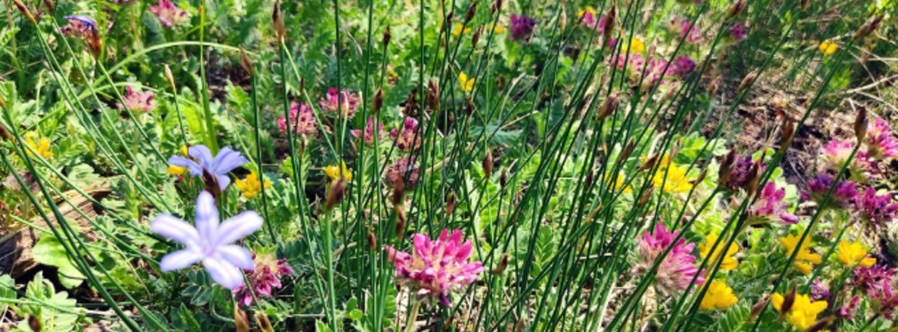 Test_G