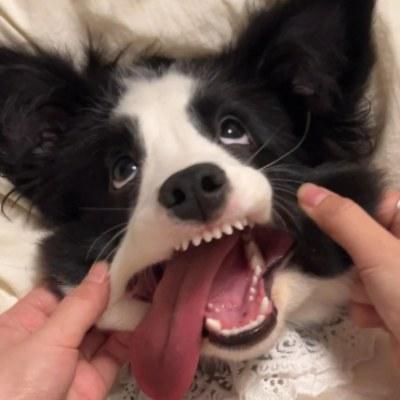 Test_G